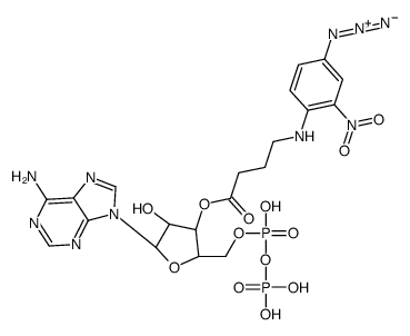 NAP(4)-ADP Structure