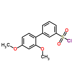 2',4'-Dimethoxy-3-biphenylsulfonyl chloride Structure