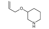 3-prop-2-enoxypiperidine结构式