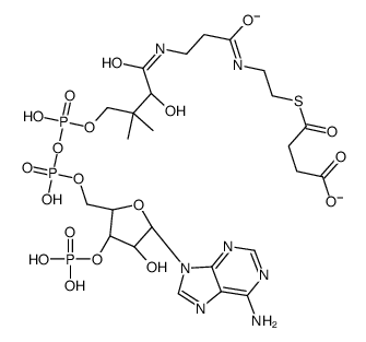 琥珀酰辅酶A钠盐结构式