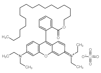 Rhodamine B octadecyl ester perchlorate Structure