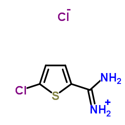 5-Chlorothiophene-2-carboximidamide hydrochloride结构式