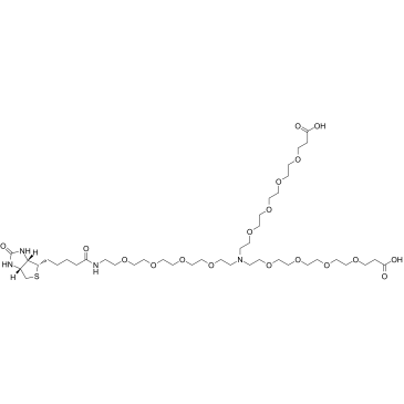 N-(Biotin-PEG4)-N-bis(PEG4-acid) Structure
