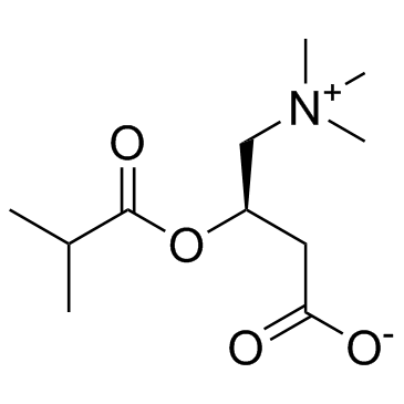 异丁酰-L-肉碱结构式