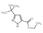 3-叔丁基-1H吡唑-5-甲酸乙酯结构式