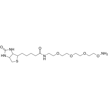 Biotin-PEG3-oxyamine HCl Structure