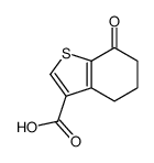 7-oxo-4,5,6,7-tetrahydro-1-benzothiophene-3-carboxylic acid(SALTDATA: FREE) Structure