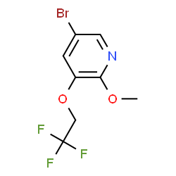 5-Bromo-2-methoxy-3-(2,2,2-trifluoroethoxy)pyridine Structure
