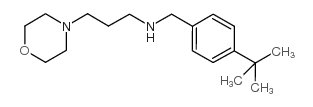 (4-tert-butyl-benzyl)-(3-morpholin-4-yl-propyl)-amine Structure