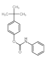 (4-tert-butylphenyl) N-phenylcarbamate结构式