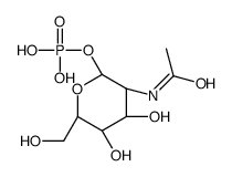 N-acetylglucosamine-1-phosphate structure