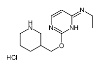 N-ethyl-2-(piperidin-3-ylmethoxy)pyrimidin-4-amine,hydrochloride Structure