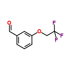 3-(2,2,2-Trifluoroethoxy)benzaldehyde Structure