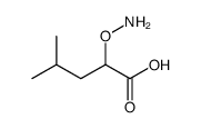 2-aminooxy-4-methylpentanoic acid Structure