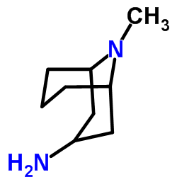 外向-3-氨基-9-甲基-9-氮杂双环[3,3,1]壬烷结构式
