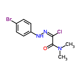 2-[2-(4-Bromophenyl)hydrazono]-2-chloro-N,N-dimethylacetamide Structure