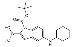 2-硼-5-(环己基氨基)-1H-吲哚-1-羧酸-1-(1,1-二甲基乙基)酯结构式