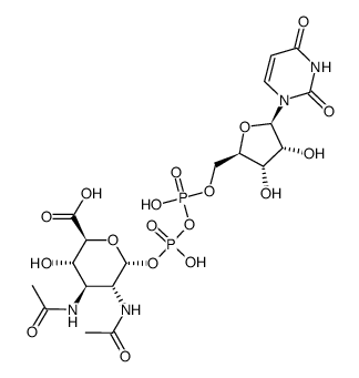 uridine 5'-diphospho-2,3-diacetamido-2,3-dideoxyglucopyranuronic acid Structure