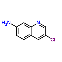 3-chloroquinolin-7-amine structure