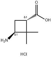 反式-3-氨基-2,2-二甲基环丁烷羧酸盐酸盐结构式