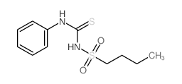 1-butylsulfonyl-3-phenyl-thiourea structure