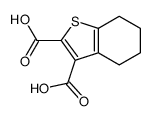 4,5,6,7-tetrahydro-1-benzothiophene-2,3-dicarboxylic acid结构式