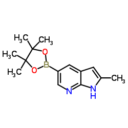 2-甲基-1H-吡咯并[2,3-b]吡啶-5-硼酸频那醇酯结构式