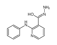 2-anilinopyridine-3-carbohydrazide Structure