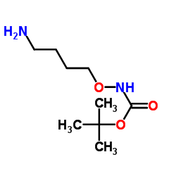 Carbamic acid, (4-氨基丁氧基)-, 1,1-二甲基乙酯 (9CI)结构式