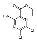 Ethyl 3-amino-5,6-dichloropyrazine-2-carboxylate Structure