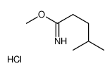 methyl 4-methylpentanimidate,hydrochloride Structure