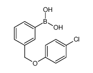 3-(4-氯苯氧基甲基)苯硼酸结构式