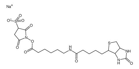生物素酰氨基己酸-3-磺酸基-N-羟基琥珀酰亚胺酯结构式