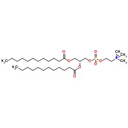 1,2-二月桂酰-sn-甘油-3-磷酸胆碱结构式