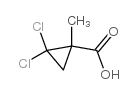 2, 2-二氯-1-甲基环丙烷甲酸图片