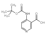 4-N-Boc-氨基烟酸结构式