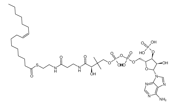 Palmitoleoyl coenzyme A lithium salt Structure
