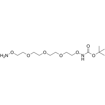 t-Boc-Aminooxy-PEG3-oxyamine Structure