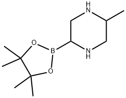5-Methylpiperazine-2-boronic acid pinacol ester Structure