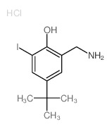 2-(aminomethyl)-6-iodo-4-tert-butyl-phenol结构式