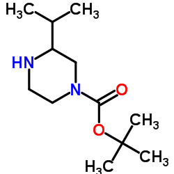 1-Boc-3-Isopropylpiperazine Structure