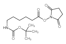 6-[[(1,1-Dimethylethoxy)carbonyl]amino]hexanoic acid 2,5-dioxo-1-pyrrolidinyl ester Structure