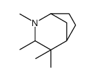 2,3,4,4-Tetramethyl-2-azabicyclo[3.2.1]octane结构式