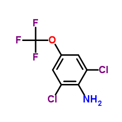 2,6-二氯-4-(三氟甲氧基)苯胺图片