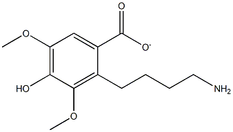 4'-aminobutyl-4-hydroxy-3,5-dimethoxybenzoate Structure