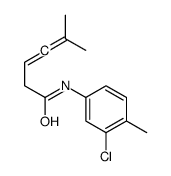 N-(3-chloro-4-methylphenyl)-5-methylhexa-3,4-dienamide Structure