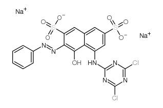disodium 5-[(4,6-dichloro-1,3,5-triazin-2-yl)amino]-4-hydroxy-3-(phenylazo)naphthalene-2,7-disulphonate Structure