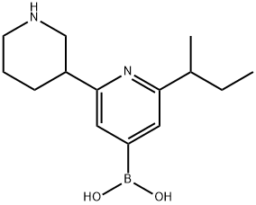 2-(sec-Butyl)-6-(piperidin-3-yl)pyridine-4-boronic acid Structure