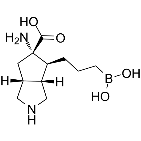 ARG1-IN-1 structure