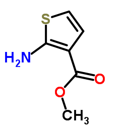 2-氨基噻吩-3-羧酸甲酯图片